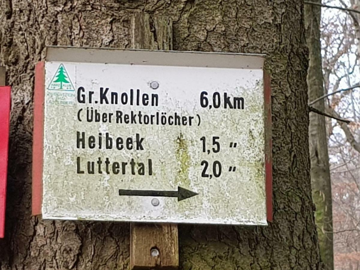 Ferienwohnung "Hagebutze" Mit Sauna Und Schwimmbad Bad Lauterberg Εξωτερικό φωτογραφία
